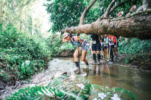 BIB: 
                            <button type="button" onclick="openModal(25475830)" class="btn btn-primary btn-sm float-right btn-popup" data-toggle="modal" data-target=".modal-high-quality">
                        <i class="fas fa-shopping-cart"></i> Add to Cart
                    </button>
                                            <button type="button" onclick="isThisMe(25475830, true)" class="btn btn-success btn-sm float-right btn-popup btn-isme hidden" data-toggle="tooltip" data-placement="bottom" title="นี่คือรูปของคุณใช่ไหม คลิกที่นี่เพื่อเอาเข้าอัลบั้ม">
                        <i class="fas fa-plus"></i> Add to album
                    </button>
                    <button type="button" onclick="isThisMe(25475830, false)" class="btn btn-warning btn-sm float-right btn-popup btn-isnotme hidden">
                        <i class="fas fa-ban"></i> Remove from album
                    </button>